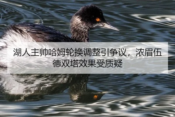 hu-ren-zhu-shuai-ha-mu-lun-huan-tiao-zheng-yin-zheng-yi-nong-mei-wu-de-shuang-ta-xiao-guo-shou-zhi-yi-3-541.jpg