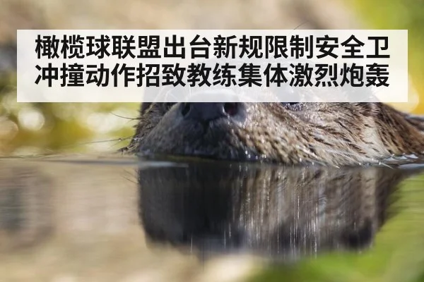 橄榄球联盟出台新规限制安全卫冲撞动作招致教练集体激烈炮轰